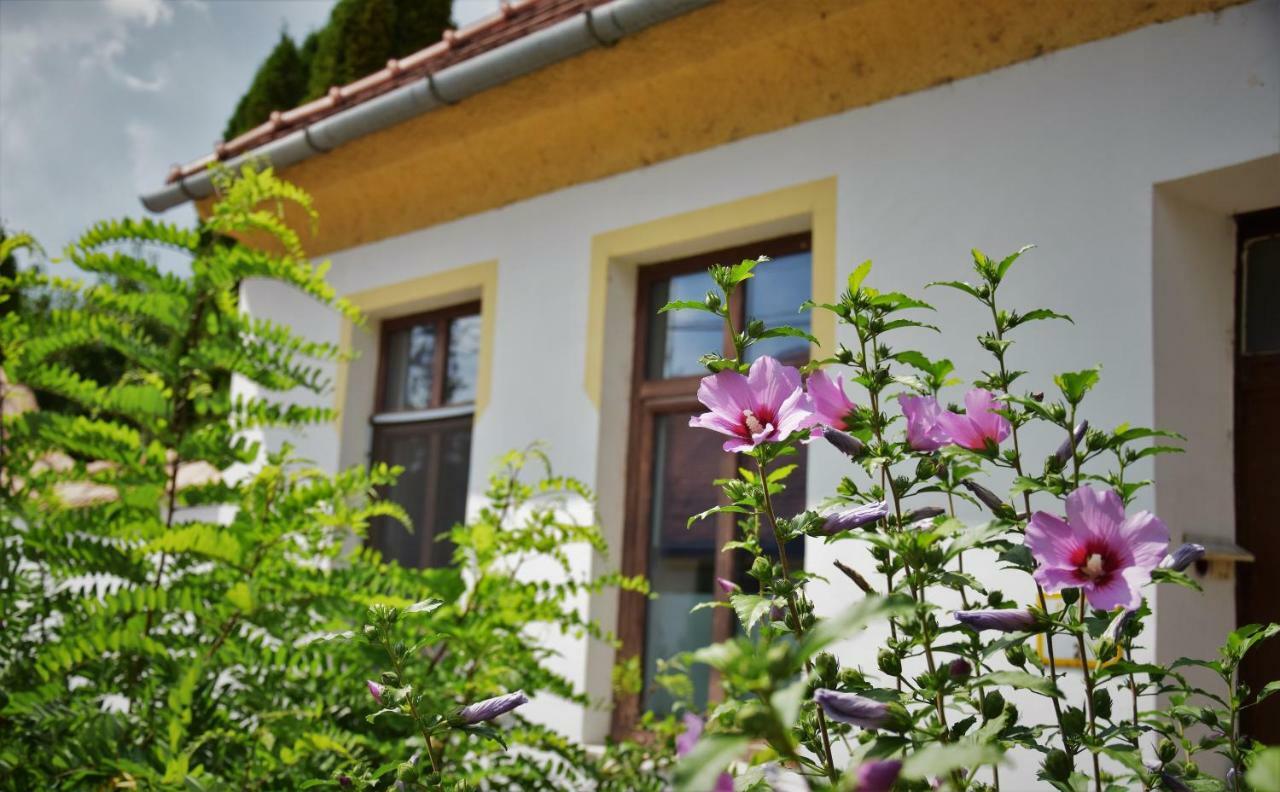 L&R Apartment Győr Exterior foto